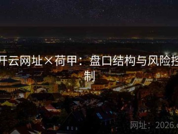 开云网址×荷甲：盘口结构与风险控制