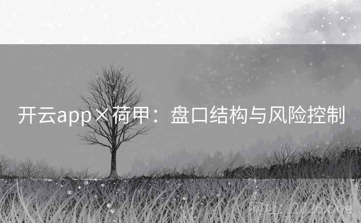 开云app×荷甲：盘口结构与风险控制