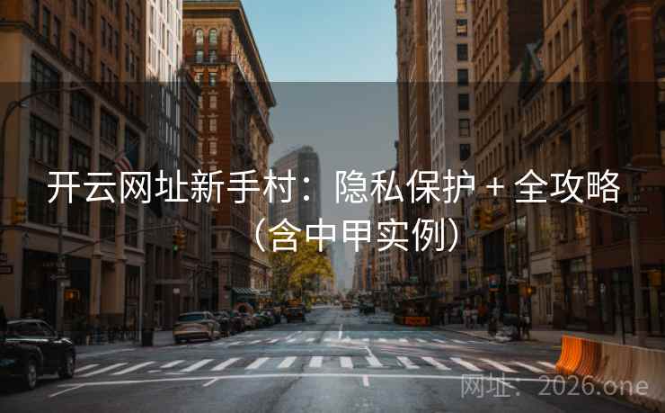 开云网址新手村：隐私保护 + 全攻略（含中甲实例）