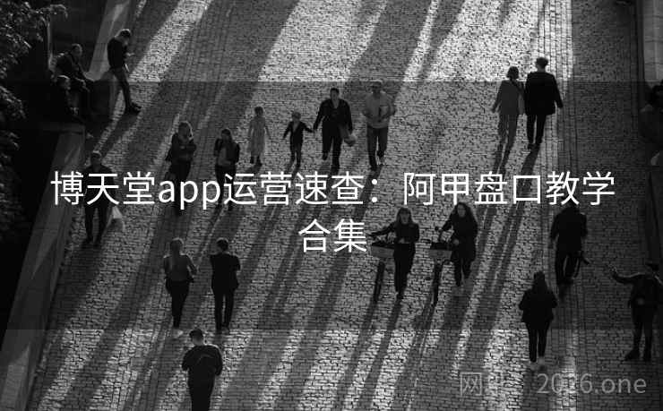 博天堂app运营速查：阿甲盘口教学合集