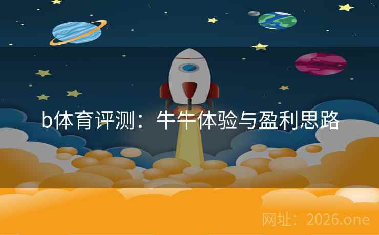 b体育评测：牛牛体验与盈利思路