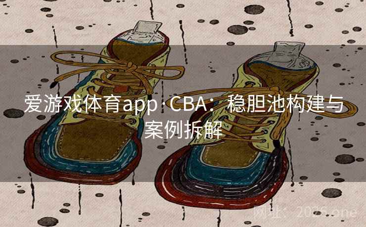 爱游戏体育app·CBA：稳胆池构建与案例拆解