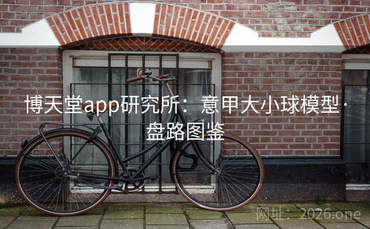 博天堂app研究所:意甲大小球模型·盘路图鉴 博天堂app研究所:意甲大小球模型·盘路图鉴